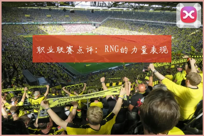 职业联赛点评：RNG的力量表现
