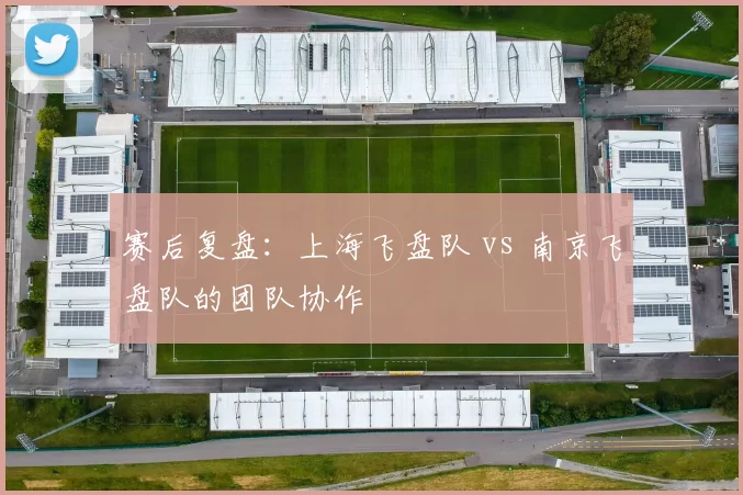 赛后复盘：上海飞盘队 vs 南京飞盘队的团队协作