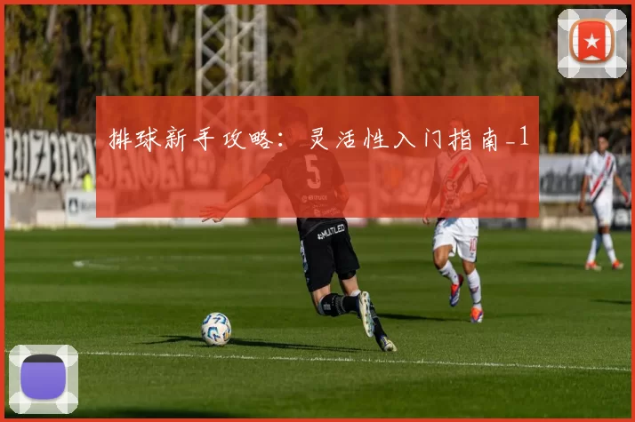 排球新手攻略：灵活性入门指南_1