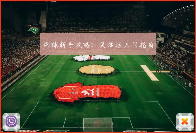 网球新手攻略：灵活性入门指南