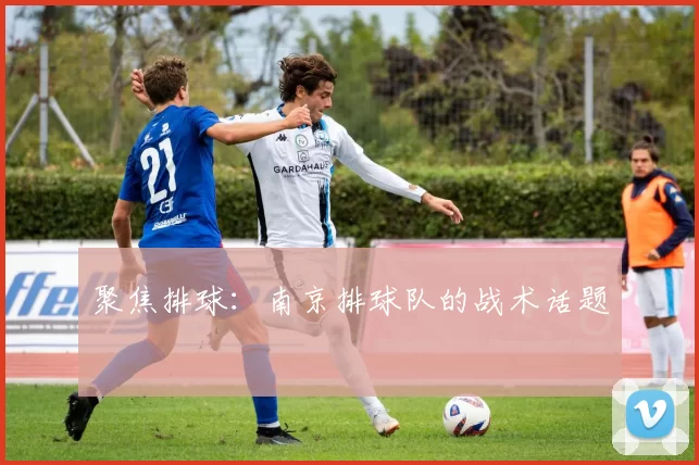聚焦排球：南京排球队的战术话题