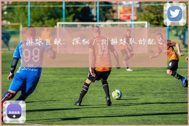 排球巨献：探秘广州排球队的配合