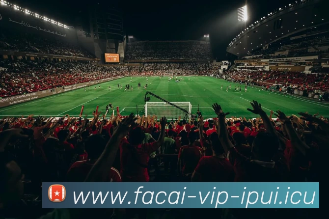 爱游戏体育服务体系